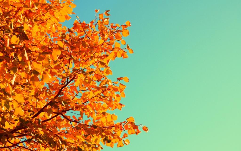 autumn_colors